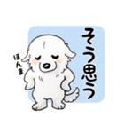 大きな白い犬 ピレネー犬（個別スタンプ：19）