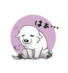 大きな白い犬 ピレネー犬（個別スタンプ：23）