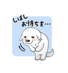 大きな白い犬 ピレネー犬（個別スタンプ：37）