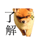 Rikoのすたんぷ（個別スタンプ：12）