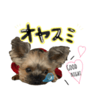 もずくくん 2（個別スタンプ：1）