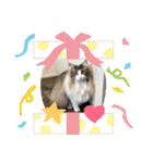 ごまま！（個別スタンプ：40）