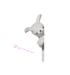 ゆるふわなかま（個別スタンプ：4）