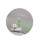 ゆるふわなかま（個別スタンプ：7）