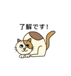 ねこの口癖（個別スタンプ：1）