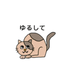 ねこの口癖（個別スタンプ：4）