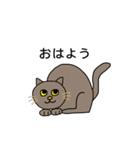 ねこの口癖（個別スタンプ：6）