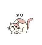 ねこの口癖（個別スタンプ：13）