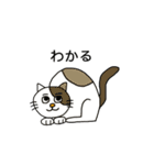 ねこの口癖（個別スタンプ：14）
