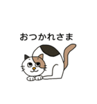 ねこの口癖（個別スタンプ：16）