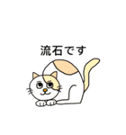 ねこの口癖（個別スタンプ：17）
