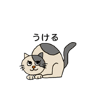 ねこの口癖（個別スタンプ：18）