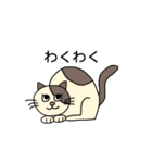ねこの口癖（個別スタンプ：19）