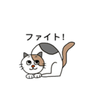ねこの口癖（個別スタンプ：23）