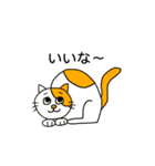 ねこの口癖（個別スタンプ：24）