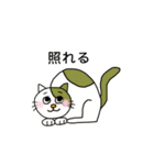 ねこの口癖（個別スタンプ：26）