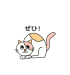 ねこの口癖（個別スタンプ：28）