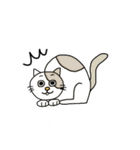 ねこの口癖（個別スタンプ：30）