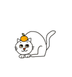 ねこの口癖（個別スタンプ：36）