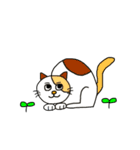 ねこの口癖（個別スタンプ：37）