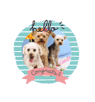 Favorite Dog Family 2（個別スタンプ：1）