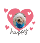 Favorite Dog Family 2（個別スタンプ：4）