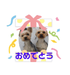 Favorite Dog Family 2（個別スタンプ：7）
