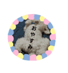 Favorite Dog Family 2（個別スタンプ：9）