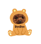 Favorite Dog Family 2（個別スタンプ：16）