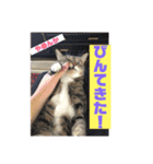 鹿児島弁♪かごんま弁♪みる姐さん！（個別スタンプ：2）