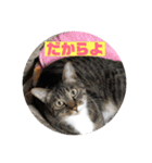 鹿児島弁♪かごんま弁♪みる姐さん！（個別スタンプ：3）