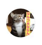 鹿児島弁♪かごんま弁♪みる姐さん！（個別スタンプ：5）