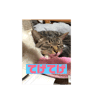 鹿児島弁♪かごんま弁♪みる姐さん！（個別スタンプ：6）