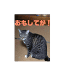 鹿児島弁♪かごんま弁♪みる姐さん！（個別スタンプ：9）
