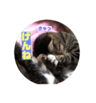 鹿児島弁♪かごんま弁♪みる姐さん！（個別スタンプ：10）