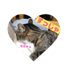 鹿児島弁♪かごんま弁♪みる姐さん！（個別スタンプ：11）