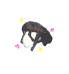 黒ラヴレオンのスタンプ（個別スタンプ：6）