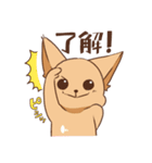 さわ犬ラッキー（個別スタンプ：1）