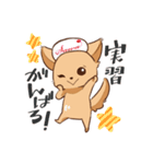さわ犬ラッキー（個別スタンプ：6）