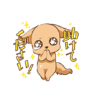 さわ犬ラッキー（個別スタンプ：12）