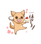 さわ犬ラッキー（個別スタンプ：14）