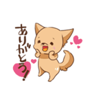 さわ犬ラッキー（個別スタンプ：15）