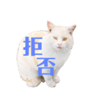 使える！デブにゃん（個別スタンプ：2）