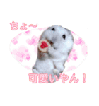 キンクマ サムくんと愉快な仲間たち（個別スタンプ：2）