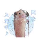 キンクマ サムくんと愉快な仲間たち（個別スタンプ：6）