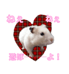 キンクマ サムくんと愉快な仲間たち（個別スタンプ：7）