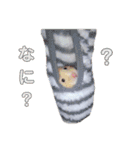 キンクマ サムくんと愉快な仲間たち（個別スタンプ：11）