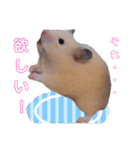 キンクマ サムくんと愉快な仲間たち（個別スタンプ：15）