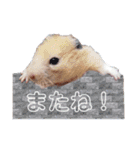 キンクマ サムくんと愉快な仲間たち（個別スタンプ：16）