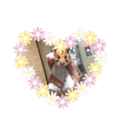 わたしのハム子スタンプ（個別スタンプ：8）